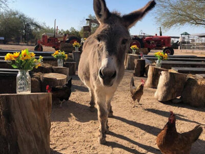 Superstition Farm