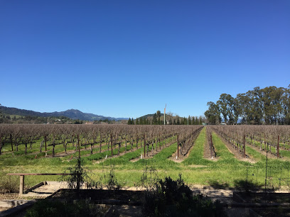 Hoopes Vineyard