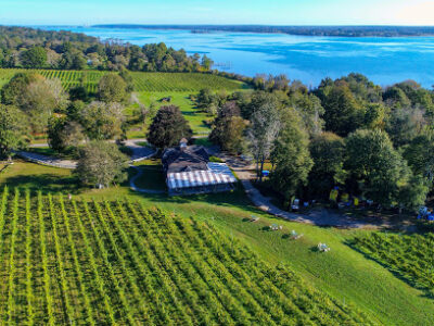 Greenvale Vineyards