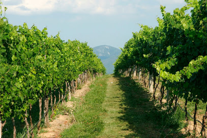 CrossKeys Vineyards