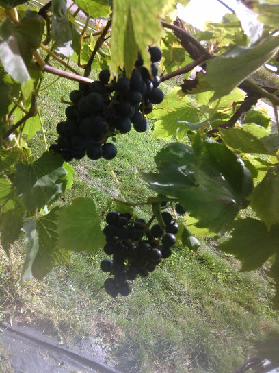 Humble Hill Winery