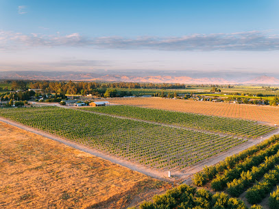 Valley Oak Winery