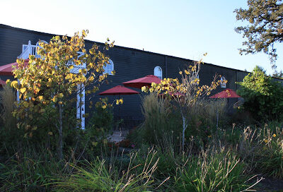 Great Oregon Wine Company & Distillery