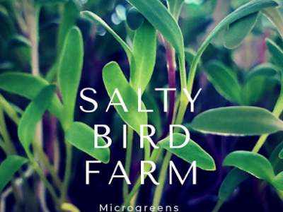 Salty Bird Farm