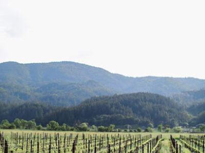 ONEHOPE Wine Specialist Nicole
