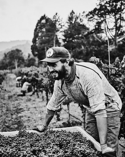 Marioni Wine