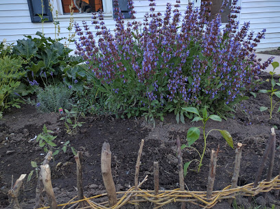 Knickerbocker Farms