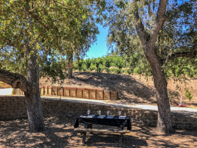 Gelfand Vineyards