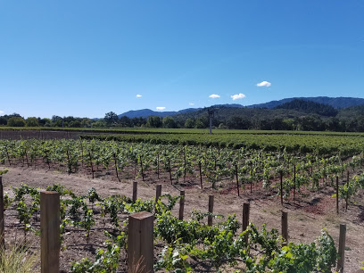 Titus Vineyards
