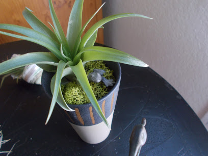 ecoplantlife.com
