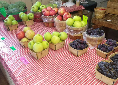 Spring Rose Farm Market