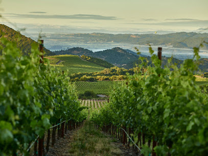 Stagecoach Vineyards