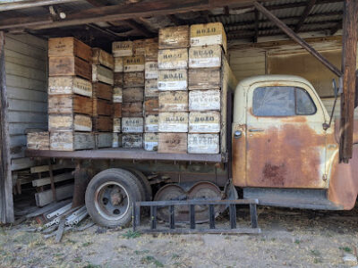 Otow Orchard