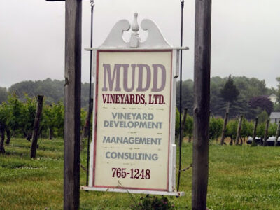 Mudd's Vineyard Ltd