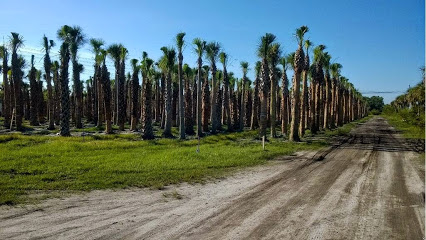 Boggy Creek Tree Farms, LLC
