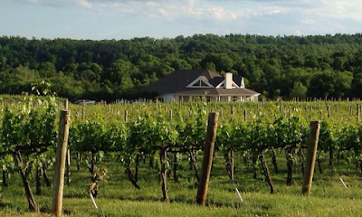 Pollak Vineyards