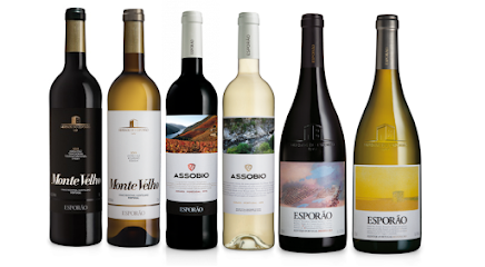 Aidil Wines & Liquors