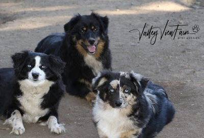 Valley View Farm