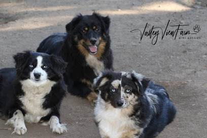 Valley View Farm