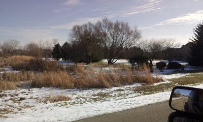 Picket Fence Farm Inc