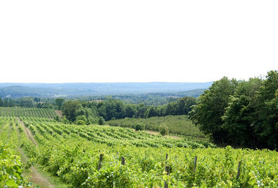 Good Harbor Vineyards