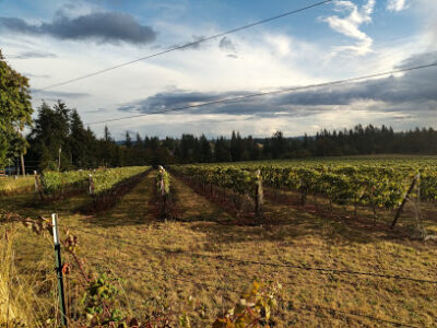 Columbia Gorge Vintners