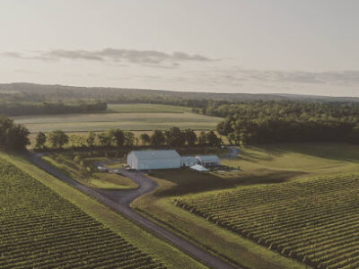 Boundary Breaks Vineyard