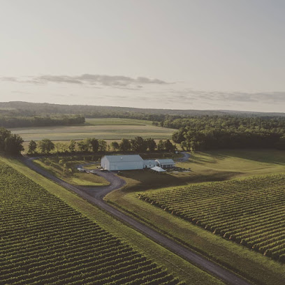 Boundary Breaks Vineyard