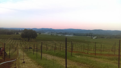 Redwood Valley Vineyards