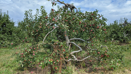 Lavoies Farm