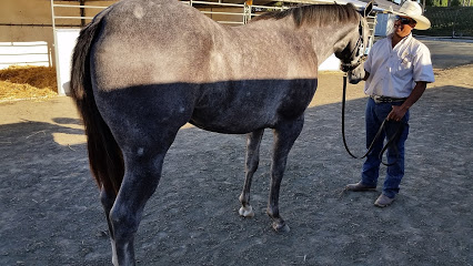 Kennewick Quarter Horse Farm