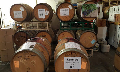 Carol Shelton Wines