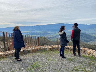 Oakville Ranch Vineyards