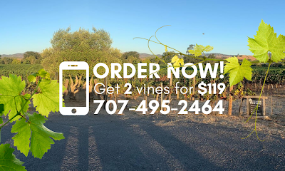 Own A Napa Vineyard