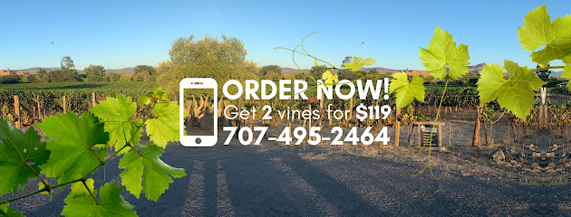 Own A Napa Vineyard