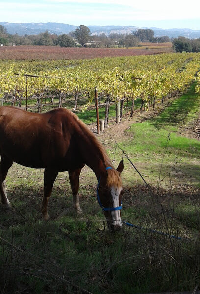 Windy Hill Ranch