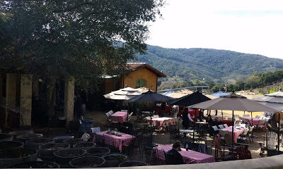 Aver Family Vineyards