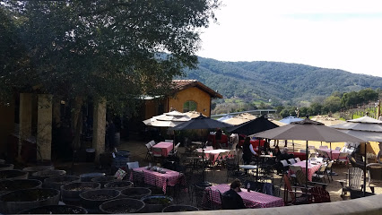 Aver Family Vineyards