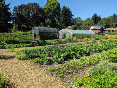 Side Yard Farm and Kitchen