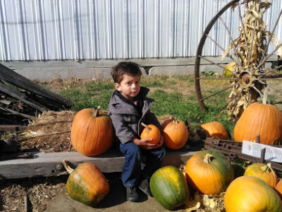Coleman Farms