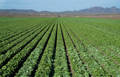 Mellon Farms