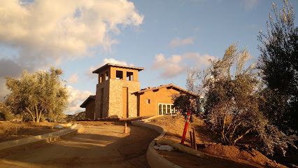 Trevi Hills Winery