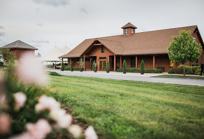 Anyela's Vineyards