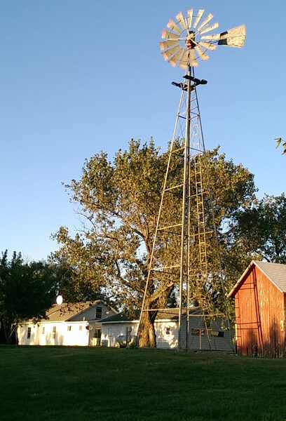 Homestead Farm
