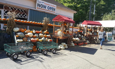 White House Fruit Farm Inc
