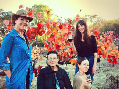 Ashton Vineyard