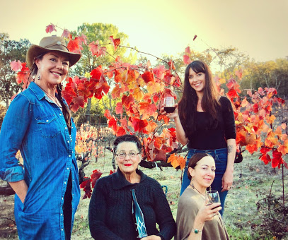 Ashton Vineyard