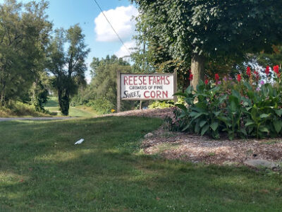 Reese Farms