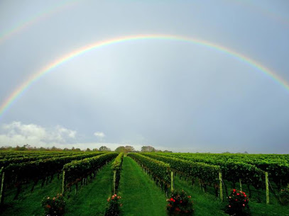 Wölffer Estate Vineyard