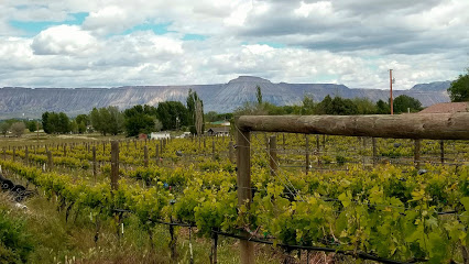 Whitewater Hill Vineyards